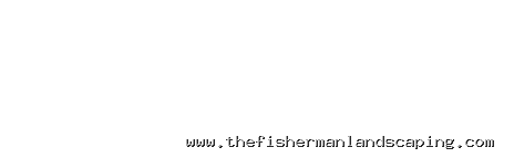 PG国际 · EV资讯平台